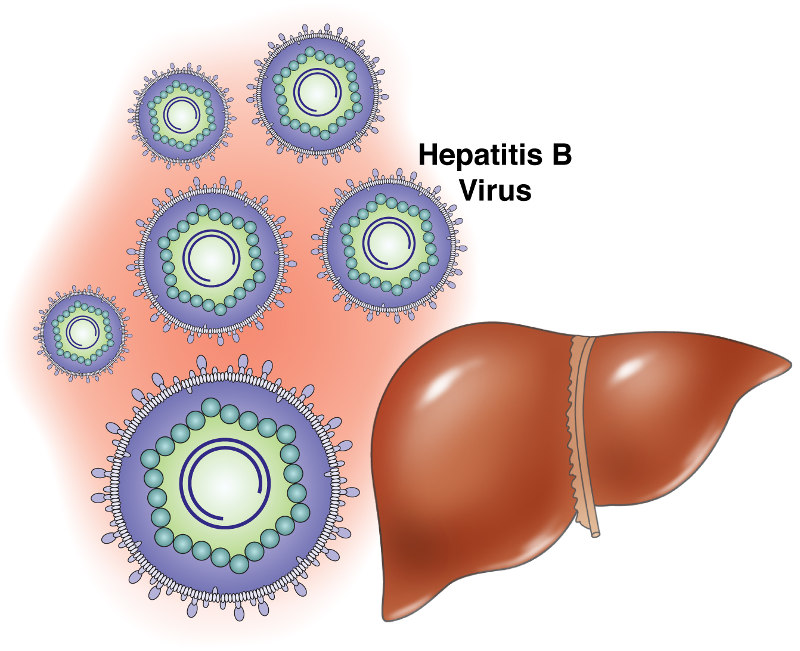 penanganan hepatitis