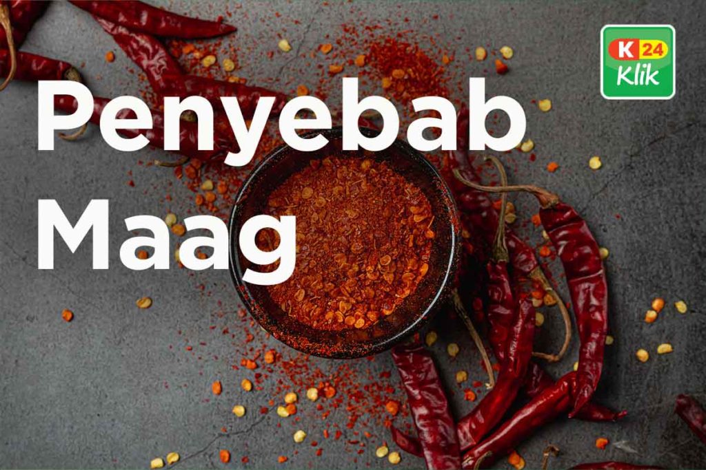 Penyebab Maag