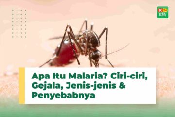 Apa Itu Malaria Ciri-ciri, Gejala, Jenis jenis & Penyebabnya