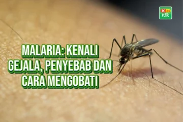 malaria kenali gejala penyebab dan cara mengobati