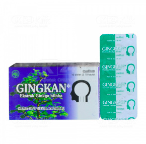 Gingkan vitamin otak
