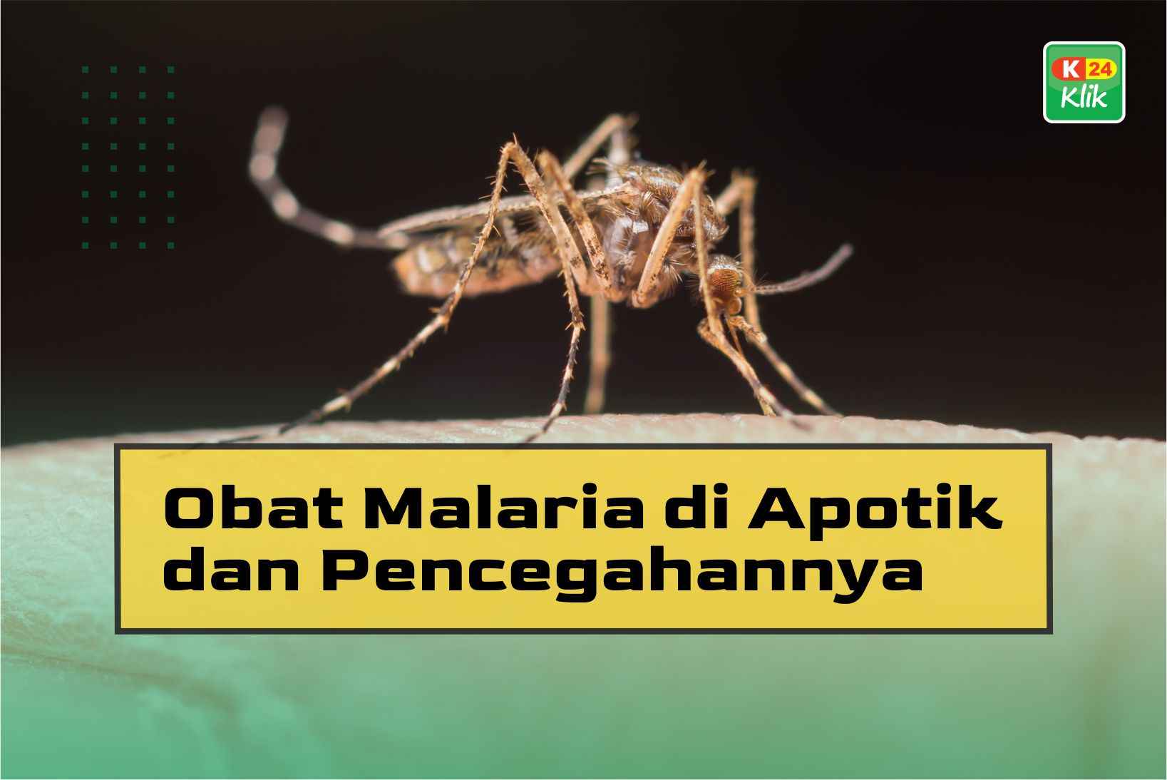 Obat Malaria di Apotik dan Pencegahannya