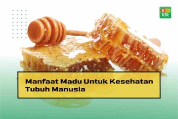 Manfaat Madu untuk Kesehatan Tubuh Manusia