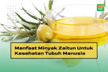 Manfaat Minyak Zaitun Untuk Kesehatan Tubuh Manusia