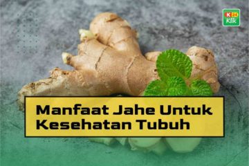 manfaat jahe untuk kesehatan tubuh