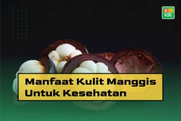 Manfaat Kulit Manggis Untuk Kesehatan