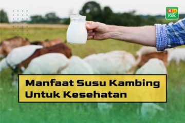 Manfaat Susu Kambing Untuk Kesehatan