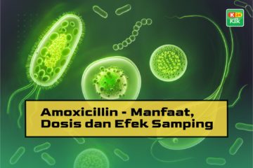 amoxicillin