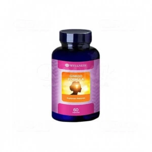 vitamin-otak-wellness-ginkgo