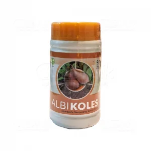 albikoles al biruni