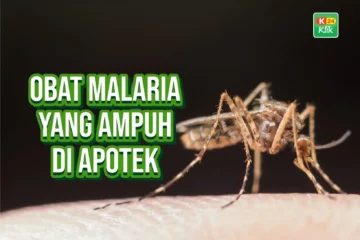 obat malaria yang ampuh di apotek