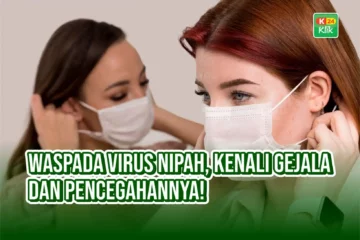 waspada virus nipah